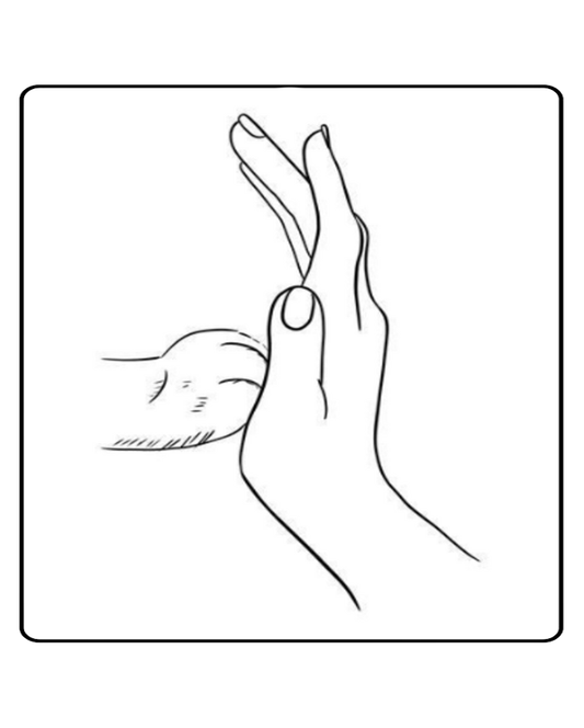 Cat-Five Temporary Tattoo