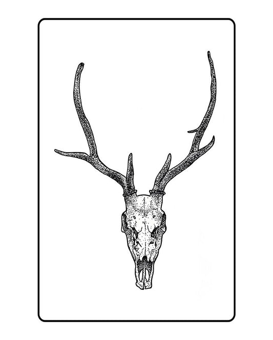 New Animal Skull Semi Permanent Tattoo