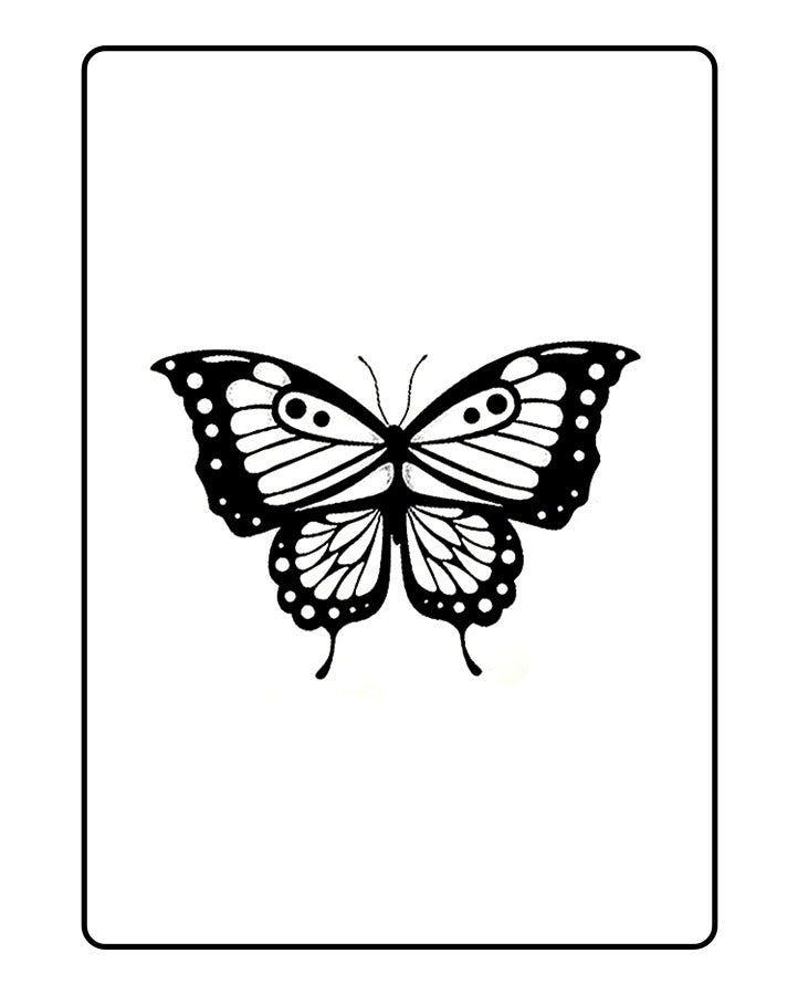 NEW Butterfly Tattoo - Semi Permanent