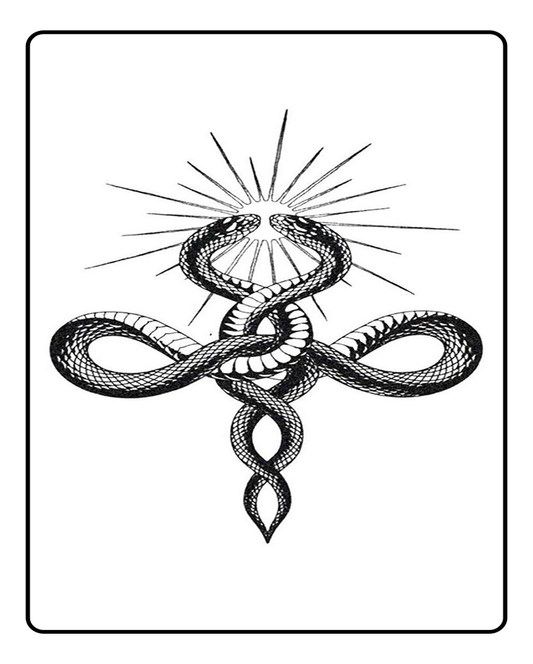 Twin Cobra Semi Permanent Tattoo