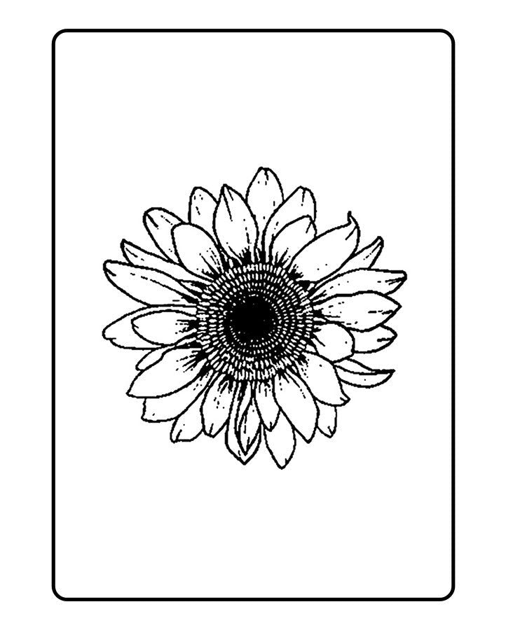 Floral Elegance: Bloom with Grace - Pack of 4