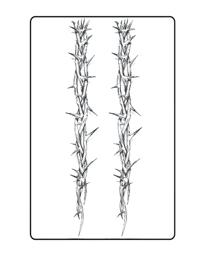 Barbed Wire Semi Permanent Tattoo