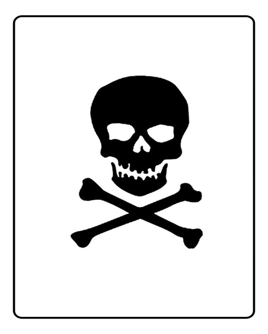 Pirate Skull Temporary Tattoo